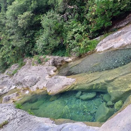 L'Ortensia Apartman Pigna Kültér fotó