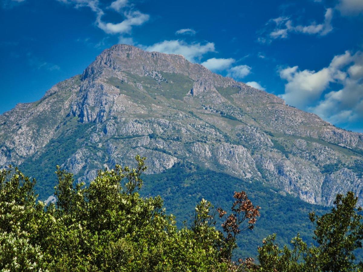 L'Ortensia Apartman Pigna Kültér fotó