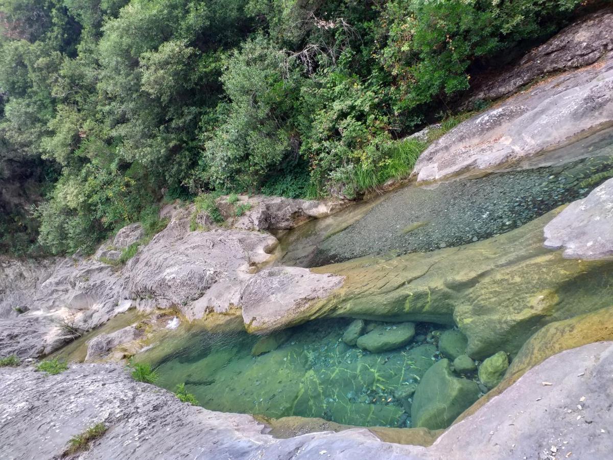L'Ortensia Apartman Pigna Kültér fotó